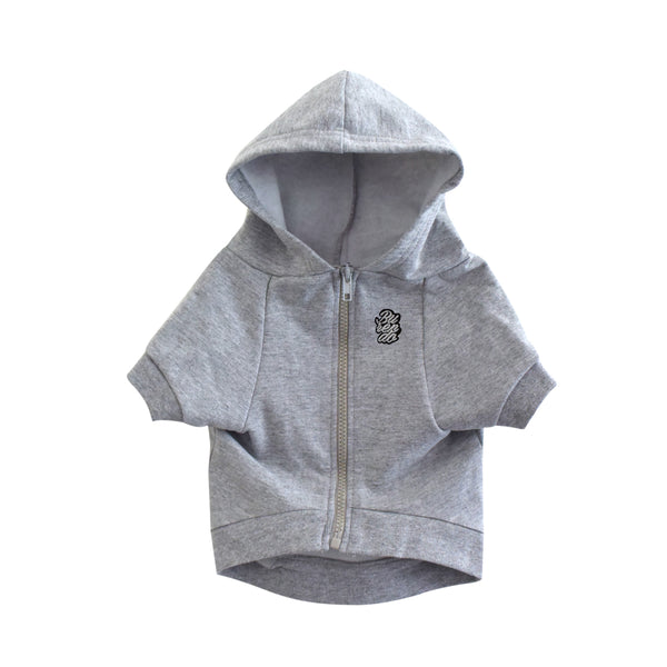 Sudadera Para Perrito Iluminati Gris